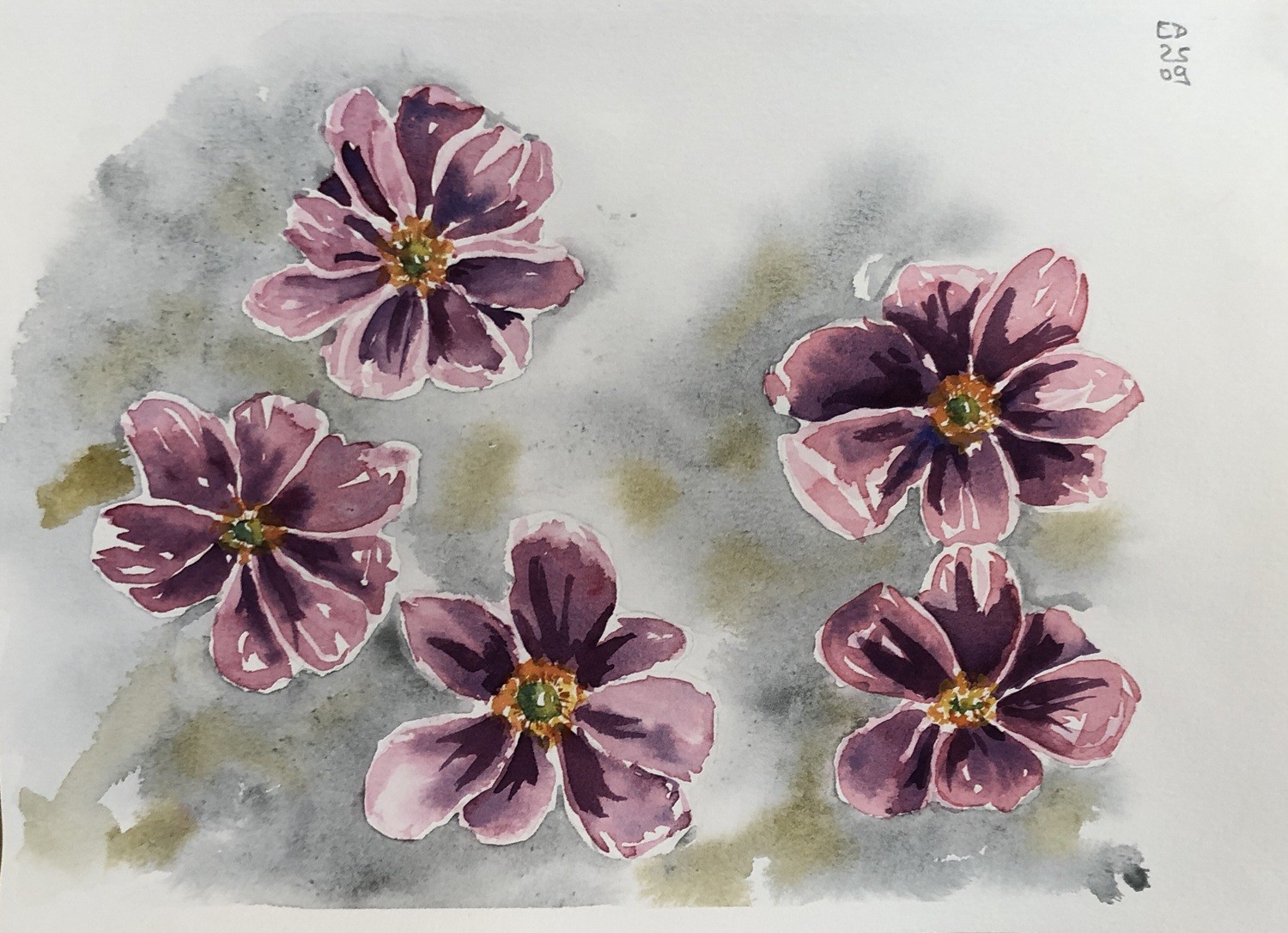 Classes — elilignes